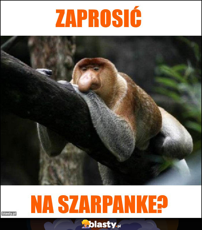 Zaprosić