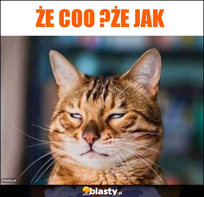 że coo ?że jak