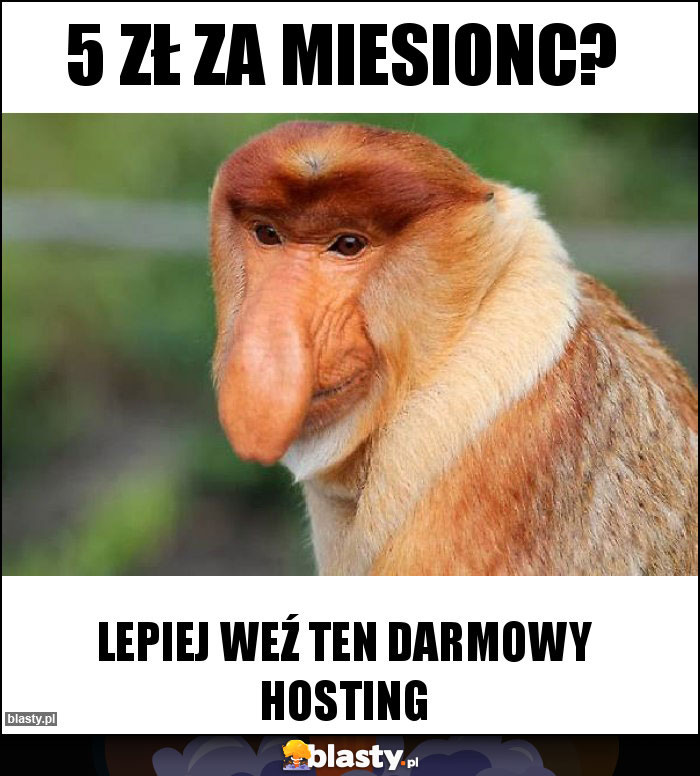 5 zł za miesionc?