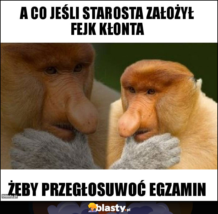 A co jeśli starosta założył fejk kłonta