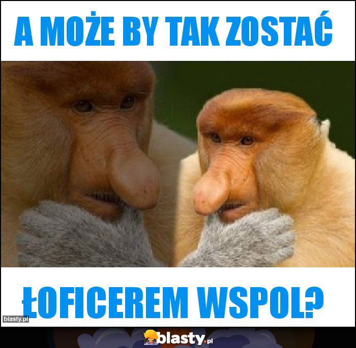 A może by tak zostać