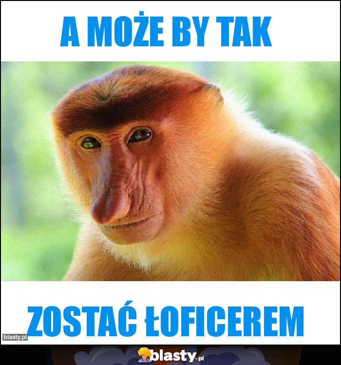 A może by tak