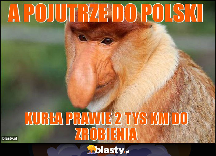 A pojutrze do Polski