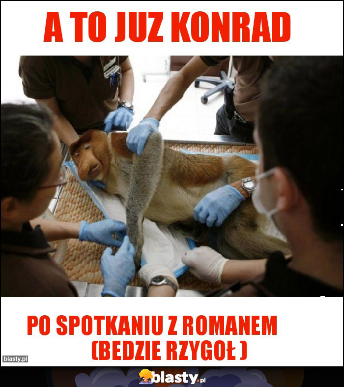 A to juz konrad