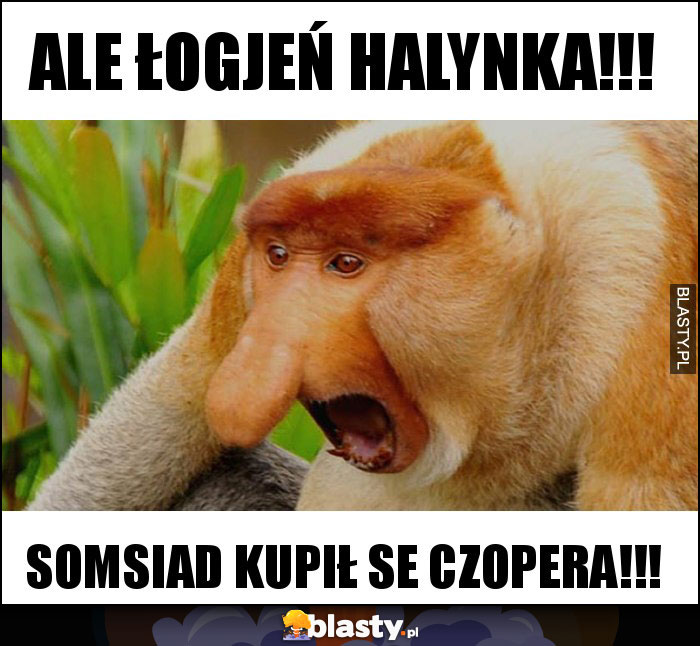 ALE ŁOGJEŃ HALYNKA!!!