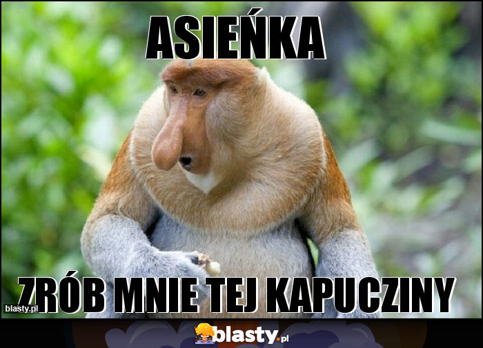 Asieńka