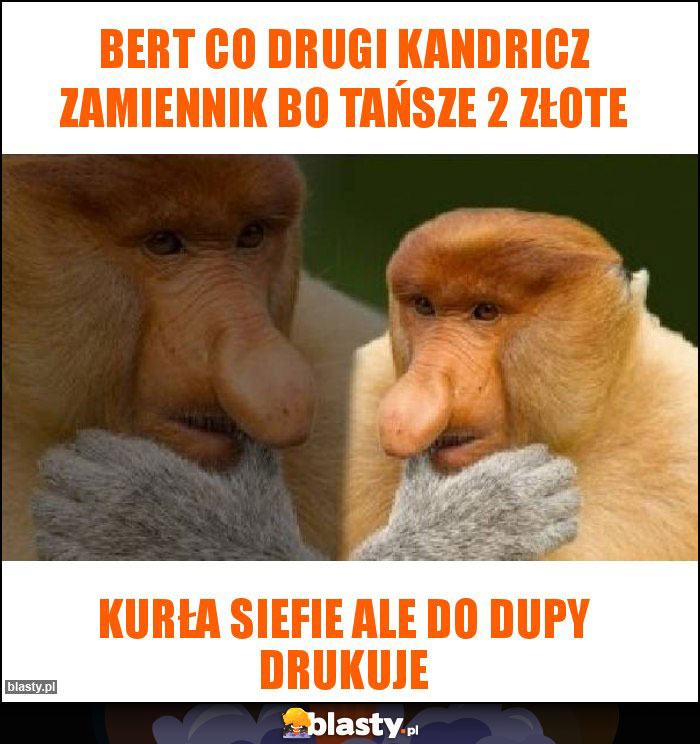 BERT CO DRUGI KANDRICZ ZAMIENNIK BO TAŃSZE 2 ZŁOTE