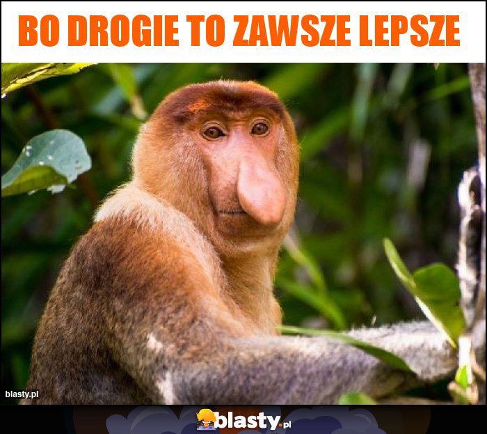 Bo drogie to zawsze lepsze