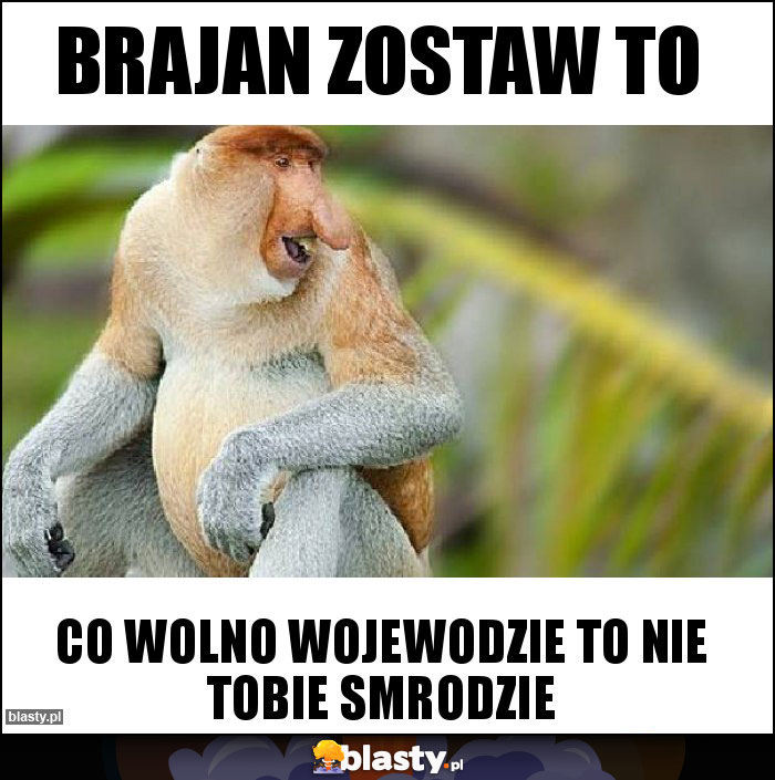 Brajan zostaw to