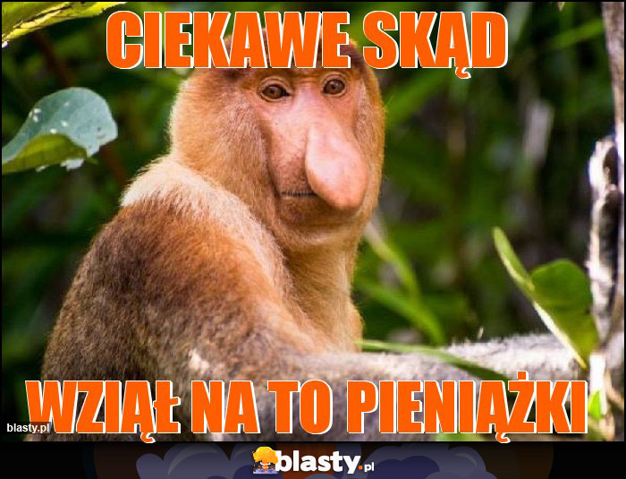 CIEKAWE SKĄD