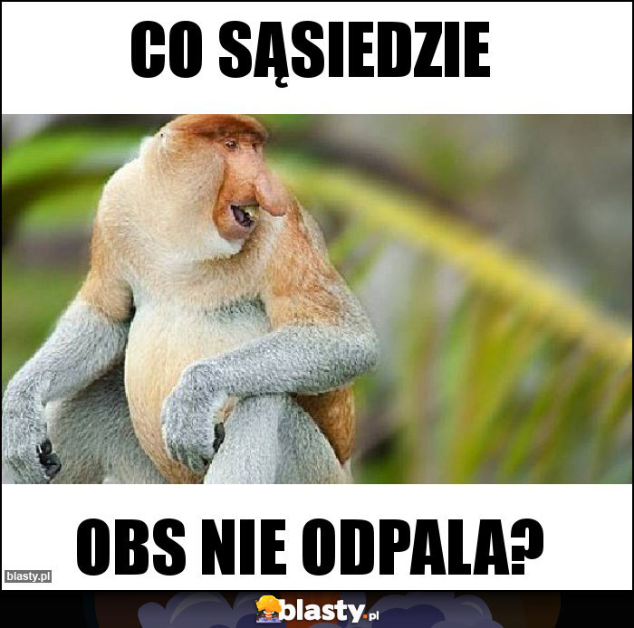 CO SĄSIEDZIE