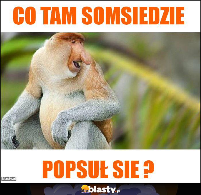 Co tam somsiedzie