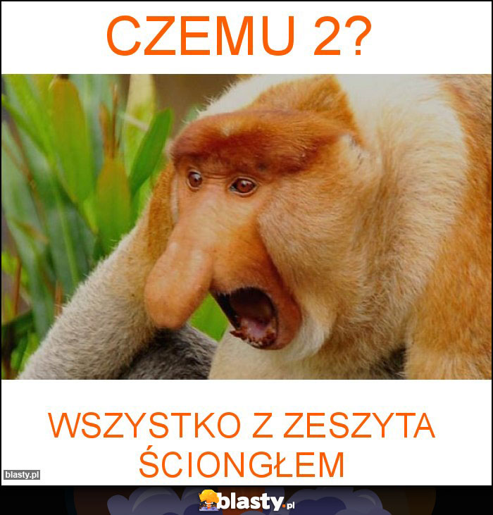 Czemu 2?