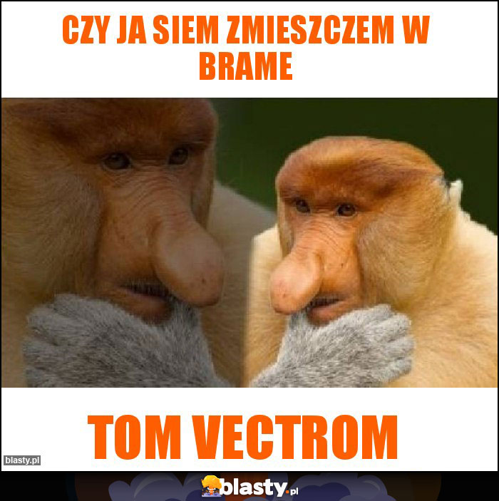 Czy ja siem zmieszczem w brame