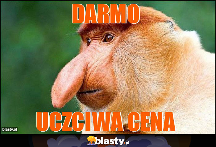 Darmo