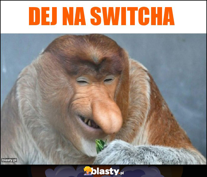 Dej na SWITCHA