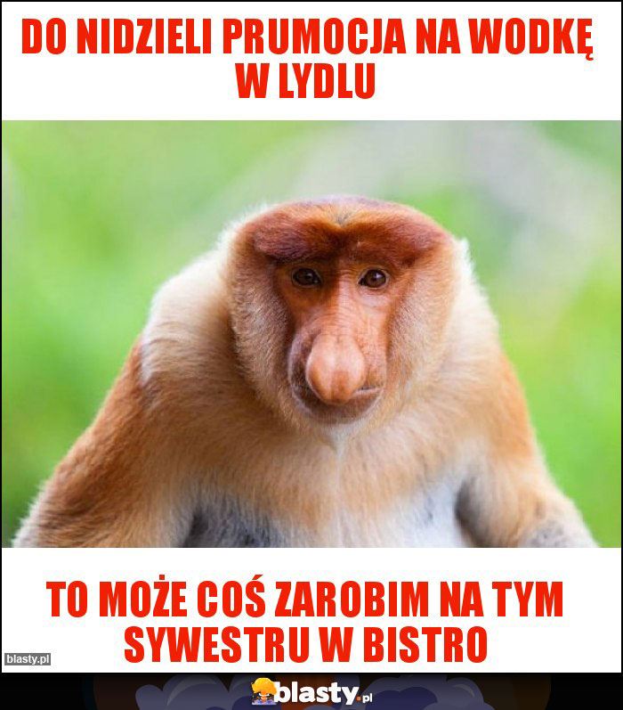 Do nidzieli prumocja na wodkę w lydlu