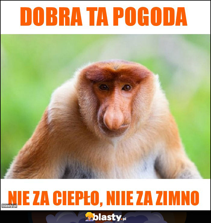 Dobra ta pogoda