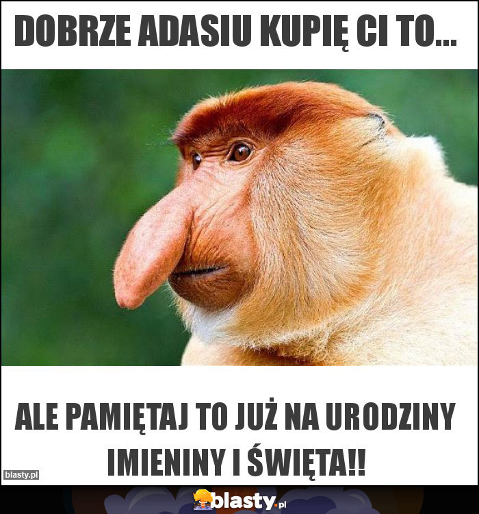 Dobrze Adasiu kupię Ci to...