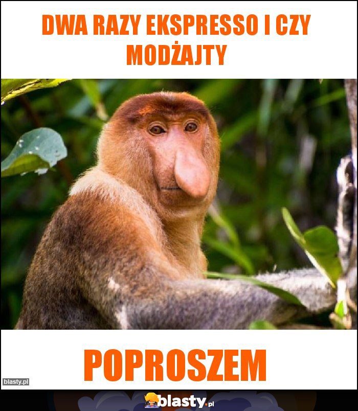 Dwa razy ekspresso i czy modżajty