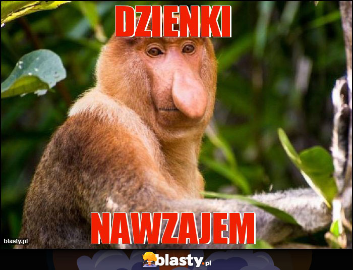 Dzienki