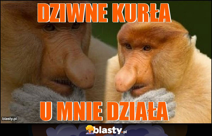 Dziwne kurła