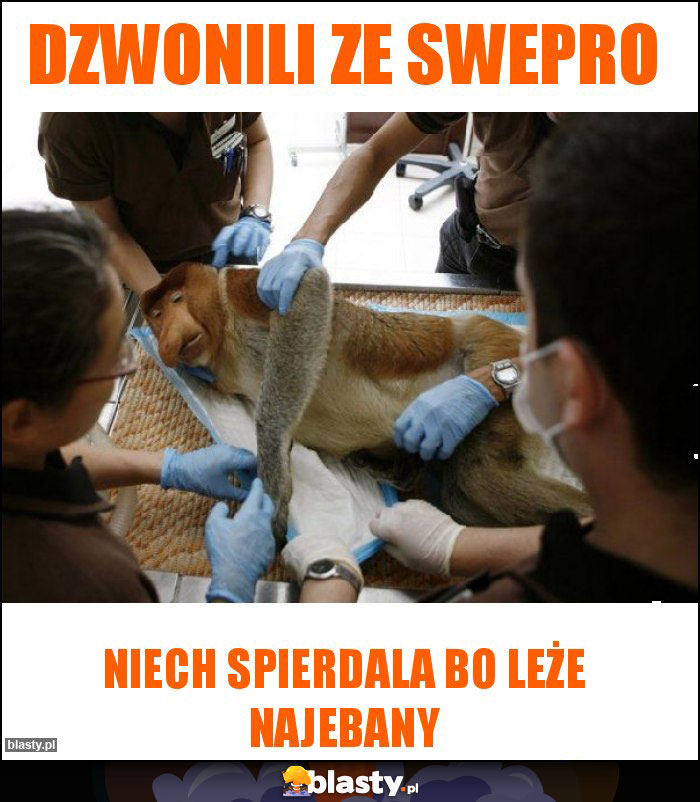 dzwonili ze swepro