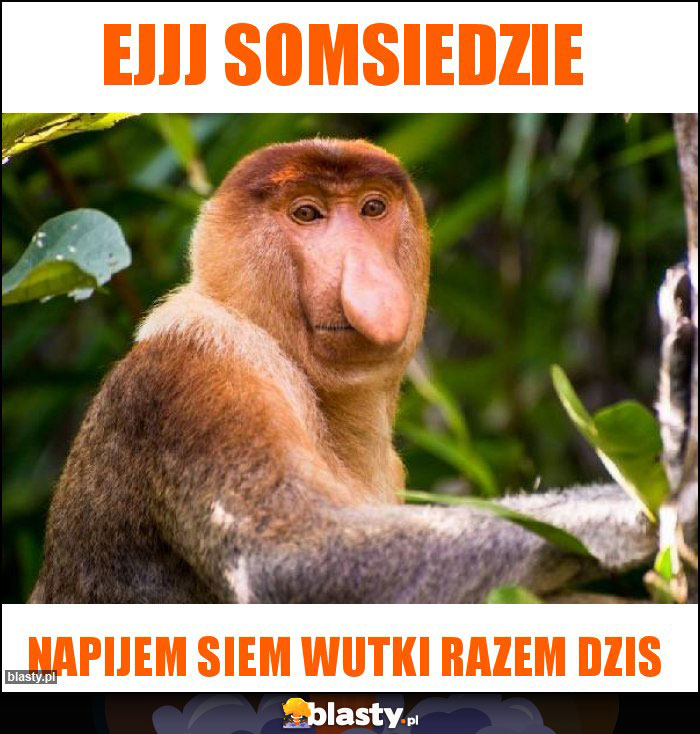 Ejjj Somsiedzie