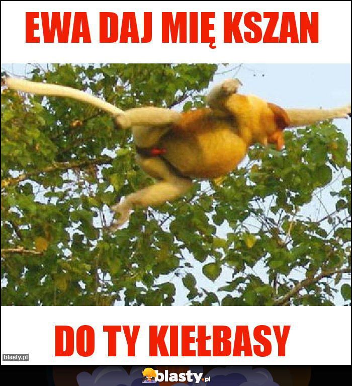 Ewa daj mię kszan