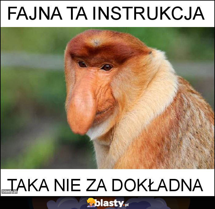 fajna ta instrukcja