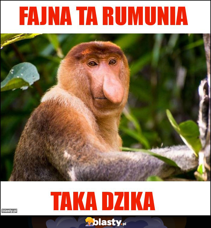 Fajna ta Rumunia