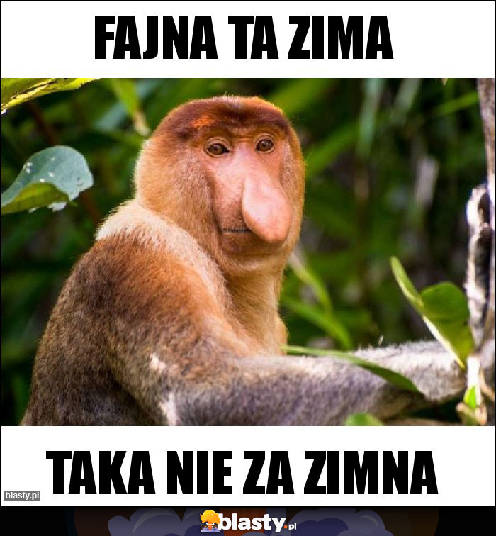 fajna ta zima