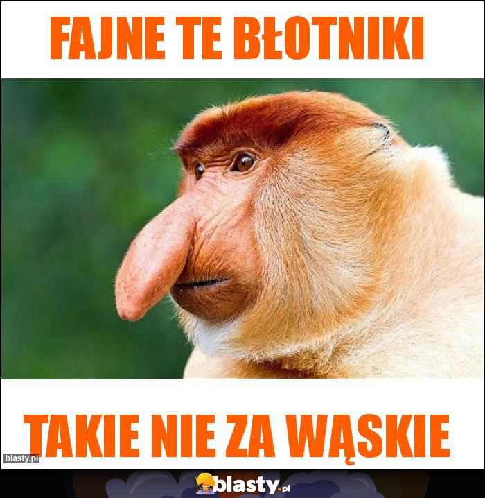 FAJNE te bŁOtniki