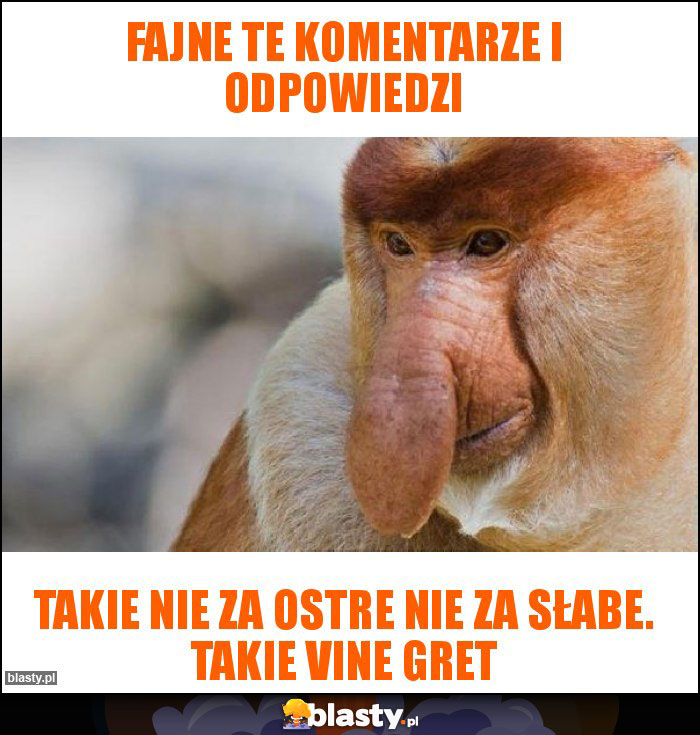 Fajne te komentarze i odpowiedzi