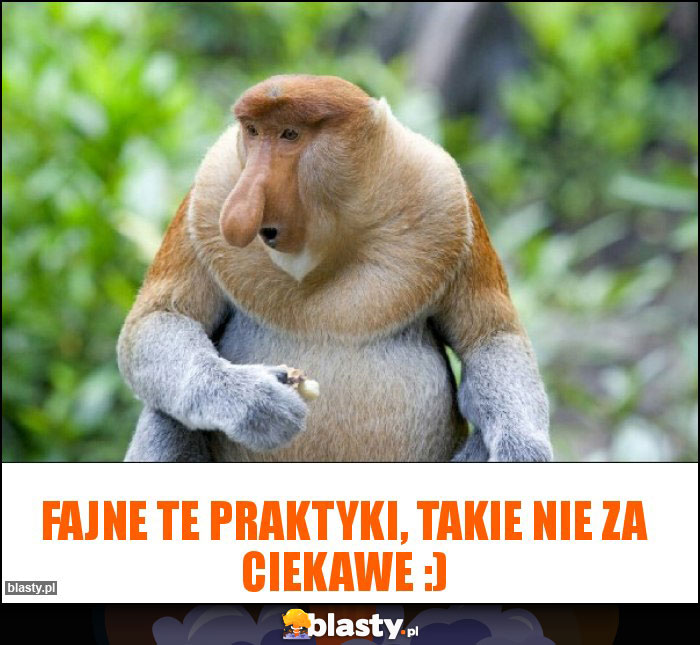 Fajne te praktyki, takie nie za ciekawe :)