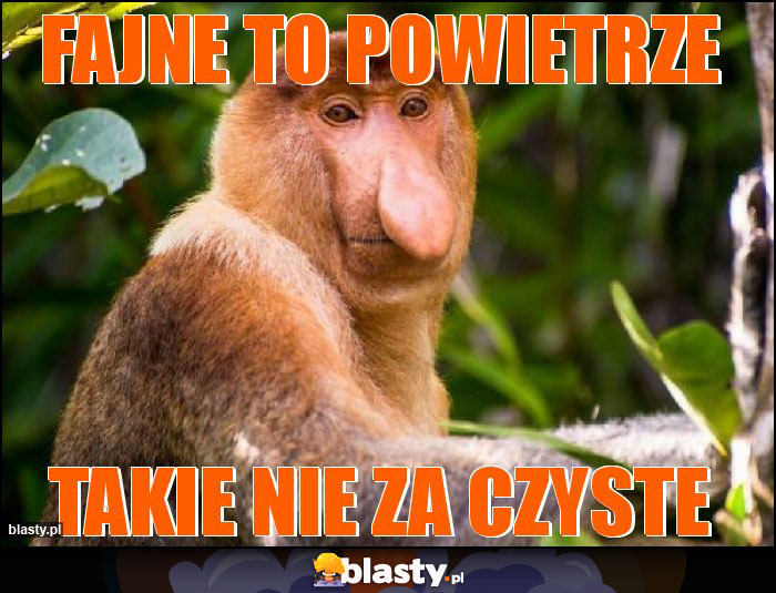 fAJNE TO POWIETRZE