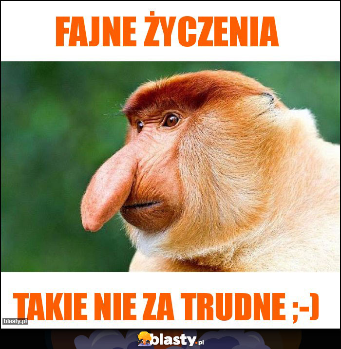 Fajne życzenia