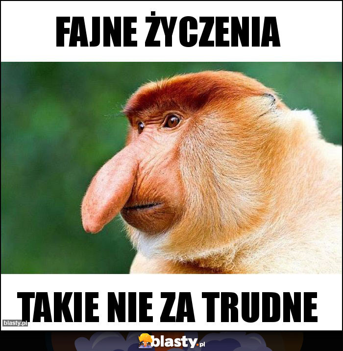 Fajne życzenia