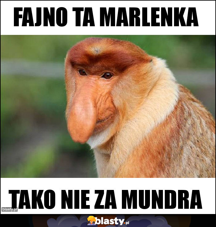 Fajno ta marlenka