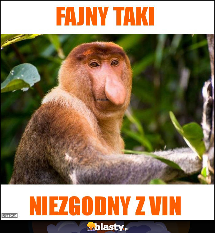 Fajny taki