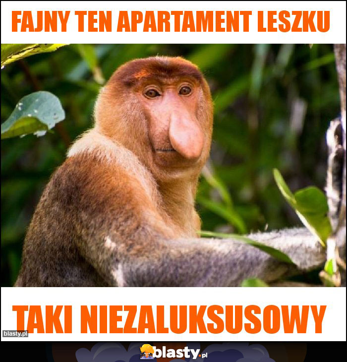 Fajny ten apartament leszku