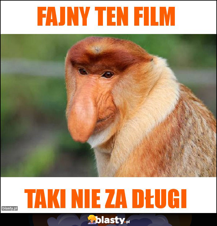 Fajny ten film