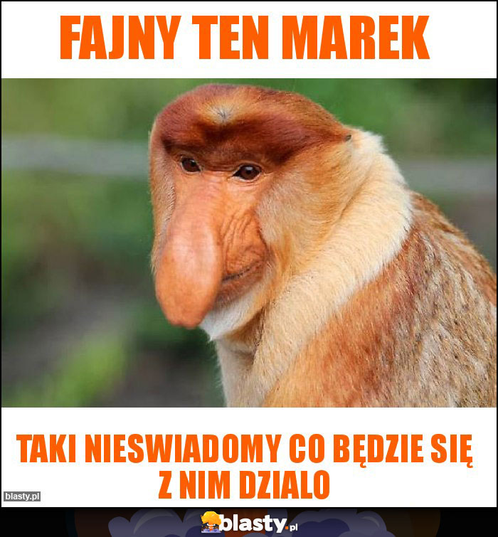 Fajny ten Marek