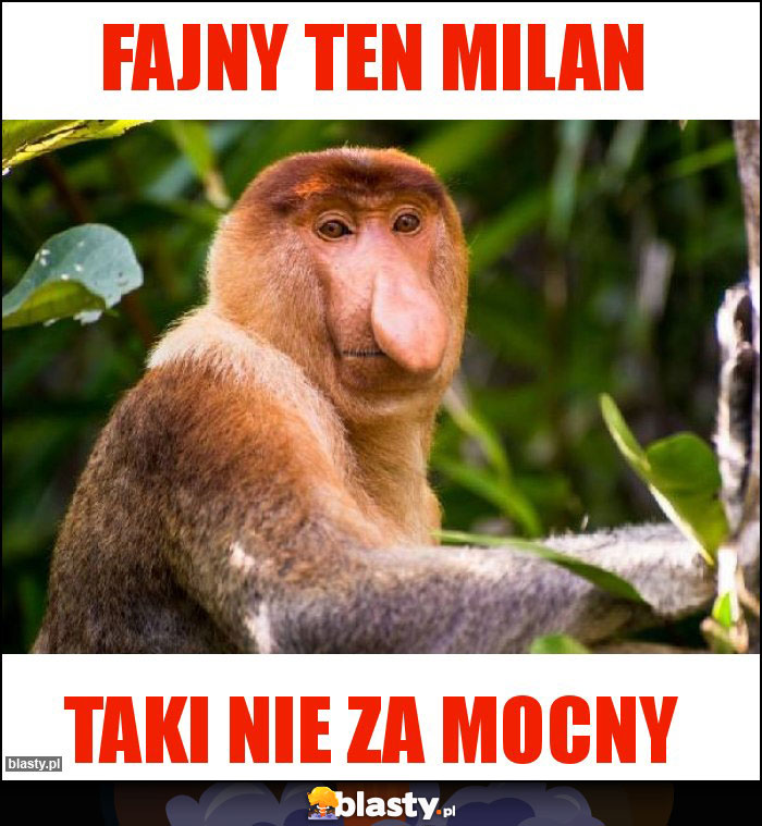 Fajny ten Milan