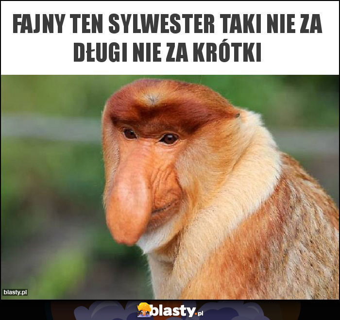 Fajny ten sylwester taki nie za długi nie za krótki