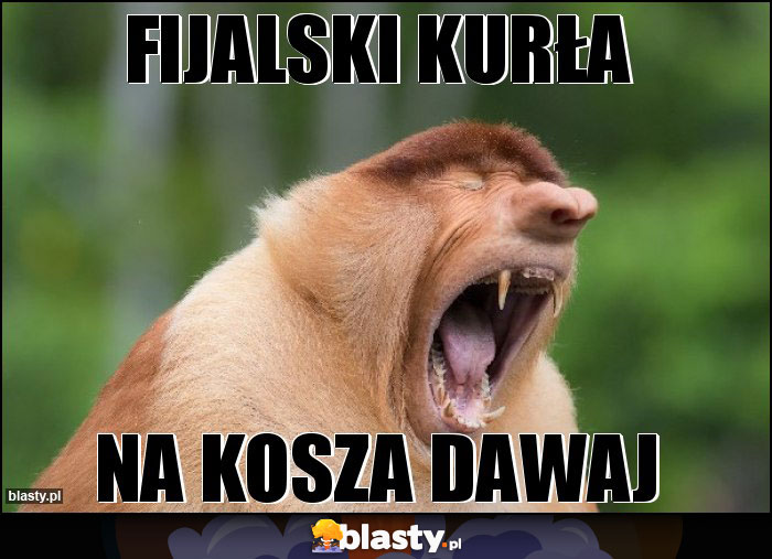 Fijalski Kurła