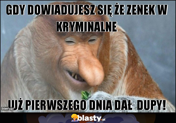 Gdy dowiadujesz się że Zenek w kryminalne