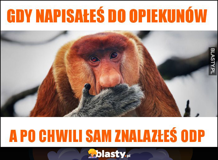 Gdy napisałeś do opiekunów