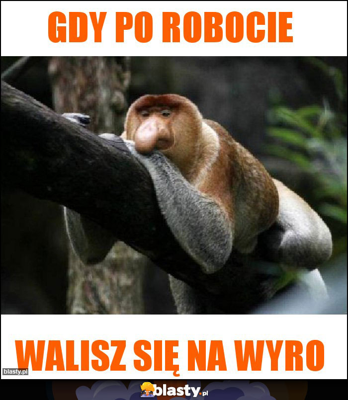 Gdy po robocie