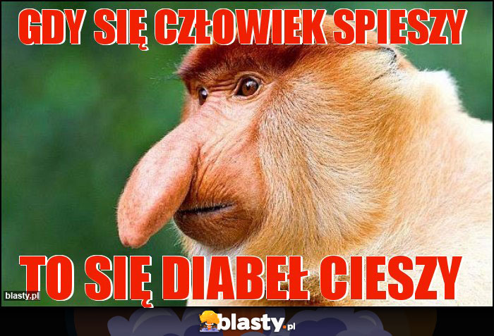 Gdy się człowiek spieszy